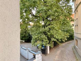 Apartamenty Ostrówek 12 - 6