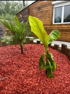 Gite Chez Tof et Ninie - 7