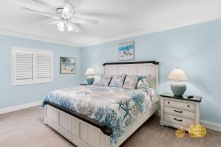 Sand Dollar 504 - 6