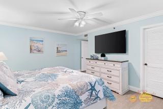 Sand Dollar 504 - 5