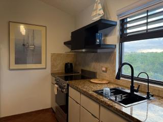 Full Ocean Views at Palmas del Mar Resort - 7