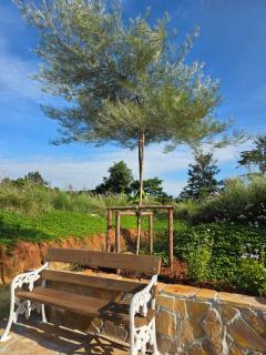 Wind in the Wild Khao Yai - 4