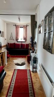 Vila Boris, Apartman Aleksej - Kopaonik - 8