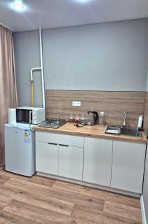 Сдам однокомнатную квартиру в Центре - 3