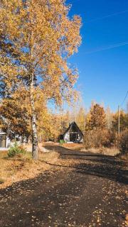 Wild Beauty Brezna - 2