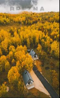 Wild Beauty Brezna - 9