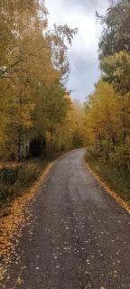 Wild Beauty Brezna - 6