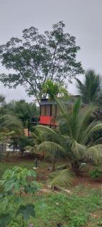 GandhadaGudi Nature Retreat - 4