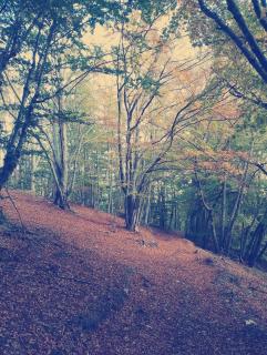 Casa Vacanze SolEsport - 9