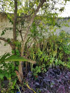 Estúdio acolhedor e versátil - 0