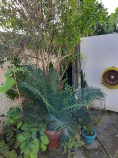 Estúdio acolhedor e versátil - 2