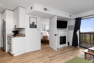 Timbers Studio 41 with Wintergreen Advantage - Mount Torry Furnace - 8