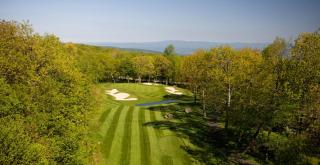 Timbers Studio 41 with Wintergreen advantage - Mount Torry Furnace - 1