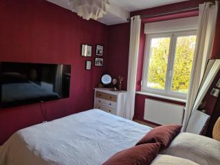 Cosy Appartement Complet centre-ville Montbéliard - 6