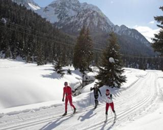 Garden Apartment Relax - 3