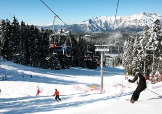 Garden Apartment Relax - 1