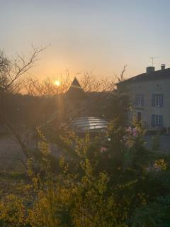 Le pigeonnier de serre - 3