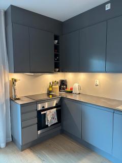 Stylish apartment near airport - 7