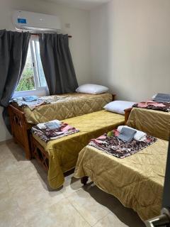 Aranduroga rugby club - 8