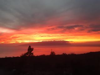 Wohnung bei Guia de Isora auf Finca Los Meneses - 4