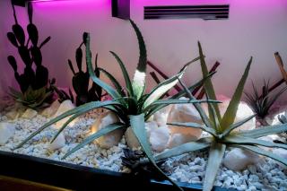 Villa Veneta-Ca' Sabbioni Venezia - 7