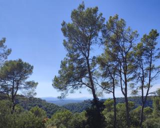 Charmant studio vue piscine idéal en couple, calme et détente assurés - 9