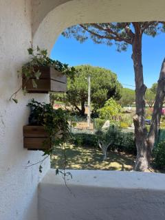 Estúdio na Falésia 2 - 5