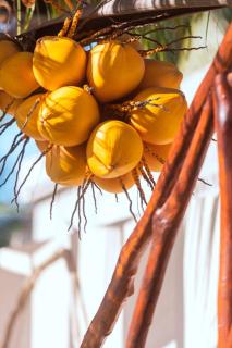 Espectacular Casa Manglar a solo unos pasos de la playa - 7