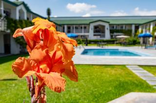 Quinta Dorada Hotel & Suites - 9