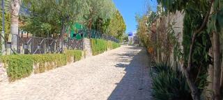 Hotel y Cabañas El Taxho - 2