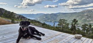Phenomenal view over Vrådal and Vråvatn - 6