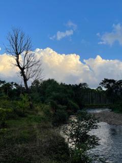 Aravanazhi tharavadu - 6