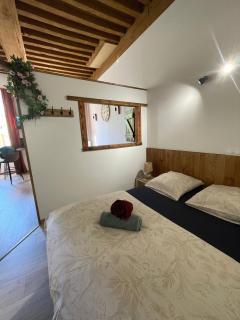 Chaleureux studio - Au Coeur du Centre ville - 8