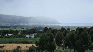 13 Olives, Entire Grape & Olive Estate, Somerset West by Euphoric Leisure - 8