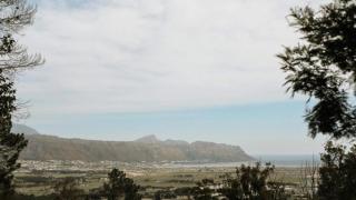 13 Olives, Entire Grape & Olive Estate, Somerset West by Euphoric Leisure - 7