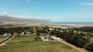 13 Olives, Entire Grape & Olive Estate, Somerset West by Euphoric Leisure - 0