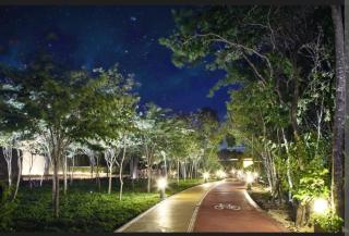 Habitación cómoda en Ciudad Mayakoba - 7