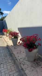 House in Pedra Azul - 600m from Rota do Lagarto - 5