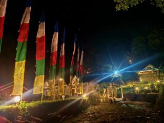 The Nettle and Fern Farmstay - 9