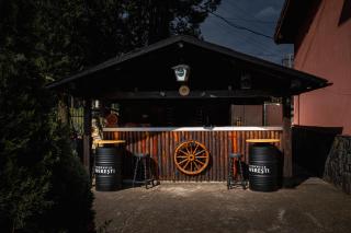 Pensiunea Castel - 5