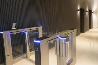 Akwaaba at Loxwood - 2