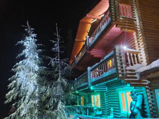 Alpin Eco Chalet & Wellness - 3