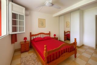 T2 Tropical avec terrasse et jardin - 6