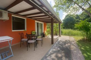 T2 Tropical avec terrasse et jardin - 4