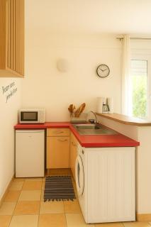 T2 Tropical avec terrasse et jardin - 1