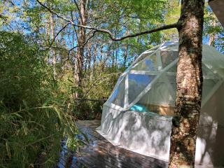Domos Conguillío - Glamping Domo - 0