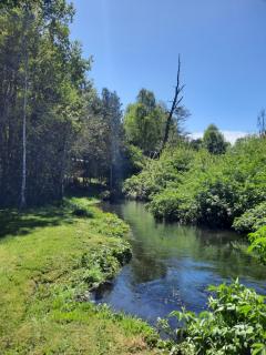 Domos Conguillío - Glamping Domo - 5