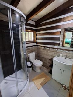 Domos Conguillío - Glamping Domo - 3