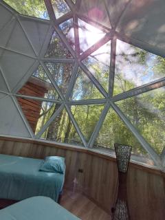 Domos Conguillío - Glamping Domo - 1