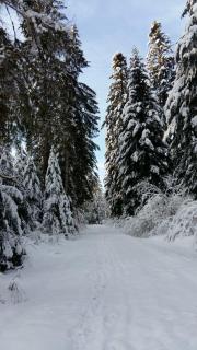 La Vernoisienne dans le Jura - 5